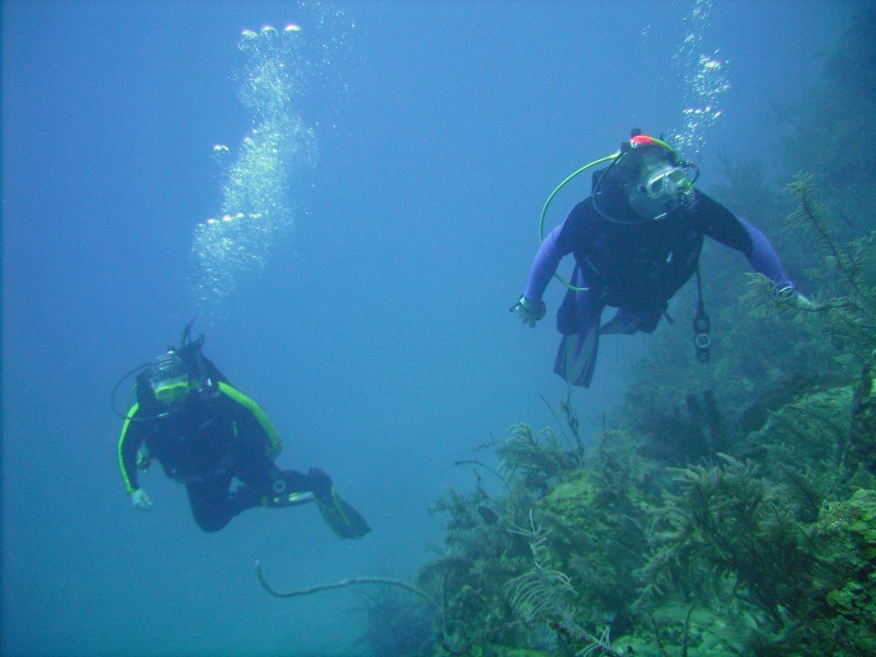 ../Images/waterphil and sue diving 2.jpg